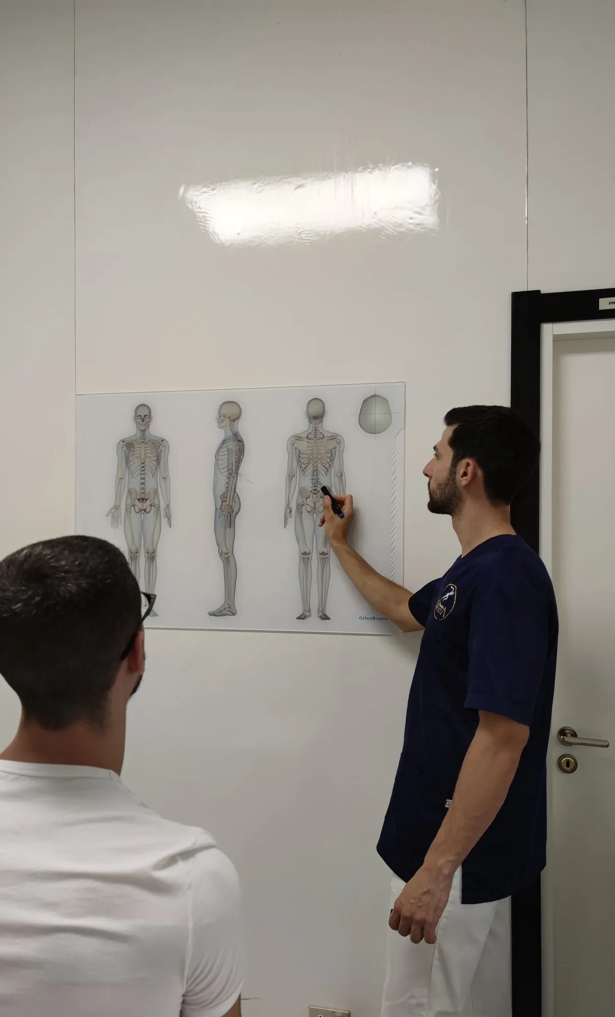 Un osteopata di Studio Volta spiega la colonna vertebrale alle tavole anatomiche